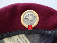 Beret Schweizer Armee Transporttruppen Territorialdienst Offizier