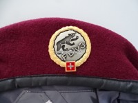 Beret Schweizer Armee Transporttruppen Territorialdienst Offizier