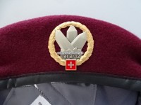 Beret Schweizer Armee Transporttruppen Territorialdienst Offizier