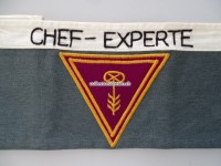 Instruktoren Armbinde " Chef-Experte " mit Doppelumrandung, Schweizer Armee