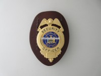 Badge Security Officer State of New York