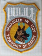 K-9, Township of Derry