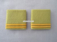 Offiziers Schlaufen, Oberlt., AC Schutzdienst, Senfgelb