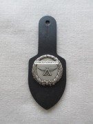 Funktionsabzeichen Schweizer Armee