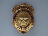 Metall Badge, Security Officer