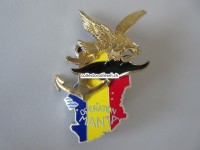 Metallabzeichen Militär " Operation Manta ", Insigne militaire