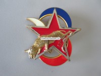 Metallabzeichen Militär, Insigne militaire