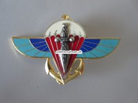 Metallabzeichen Militär, Parachute, Insigne militaire