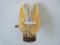Beret Metallabzeichen Militär, Insigne militaire