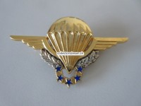 Beret Metallabzeichen Militär, Parachute, Insigne militaire