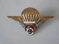 Beret Metallabzeichen Militär, Parachute, Insigne militaire