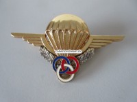 Beret Metallabzeichen Militär, Parachute, Insigne militaire