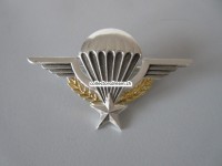 Beret Metallabzeichen Militär, Parachute, Insigne militaire, Balme