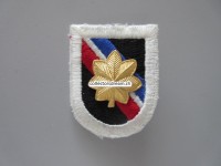 Beret Abzeichen US Army
