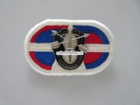 Beret Abzeichen US Army