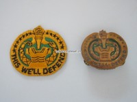 Metall und Stoffabzeichen U.S. Army " Drill Sergeant "