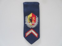 alte Schulterklappe, Police Genève / Genf
