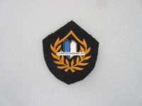 altes Stoffabzeichen, Polizei Luzern