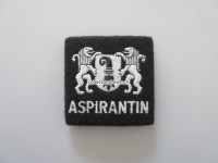 alte Schulterschlaufe, Kapo Basel-Stadt, Aspirantin