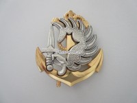 Beret Metallabzeichen Militär, Insigne militaire
