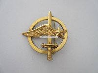 Beret Metallabzeichen Militär, Insigne militaire