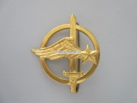 Beret Metallabzeichen Militär, Luftwaffe, Insigne militaire