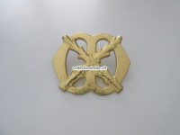 Beret Abzeichen, Holland, 26. Infantry Regiment Chasse