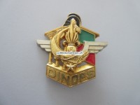 Metallabzeichen Fremdenlegion, 6 eme Regiment Etrangere