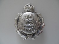 Bobby Helm Metallabzeichen, Glamorgan Constabulary
