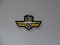 älteres Stoffabzeichen, Brustflügel, Polizei Langenthal