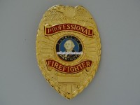 Metall Badge Professional Fire Fighter State of Washington