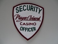 Stoffabzeichen / Patch " Security "
