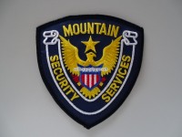 Stoffabzeichen / Patch " Security "