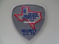 Stoffabzeichen / Patch " Security "