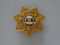 Security Badge / Metallabzeichen