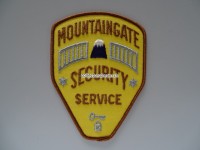 Stoffabzeichen / Patch " Security "