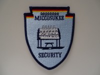 Stoffabzeichen / Patch " Security " 