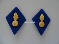 Kragenspiegel, Gendarmerie Vaud
