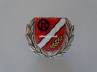 Mützenabzeichen aus Metall, ehemalige Gemeindepolizei Turgi/AG