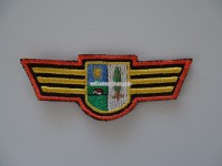 Stoff Brustflügel, ehemalige Gemeindepolizei