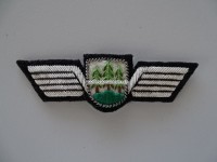 Stoff Brustflügel, ehemalige Gemeindepolizei