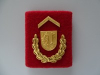 alte Schulterschlaufe, Police Genève / Genf mit Metalemblemen