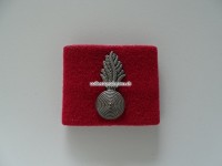 alte Schulterschlaufe, Grenadier, Police Neuchatel-Ville