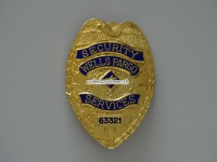 Metall Badge, Wells Fargo, Security Services