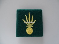 Schulterschlaufe, Kapo St. Gallen, Grenadier