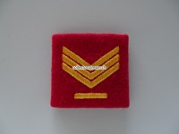 Schulterschlaufe, Kapo Zürich, Wachtmeister mbA