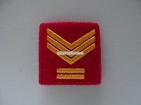 Schulterschlaufe, Kapo Zürich, Feldweibel