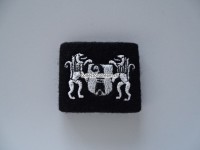 Schulterschlaufe, Kapo Basel-Stadt, schmale Version