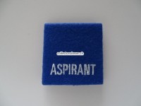 Schulterschlaufe, Gendarmerie Neuchatel, Aspirant
