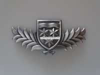 Mützenabzeichen Polizei Birsfelden